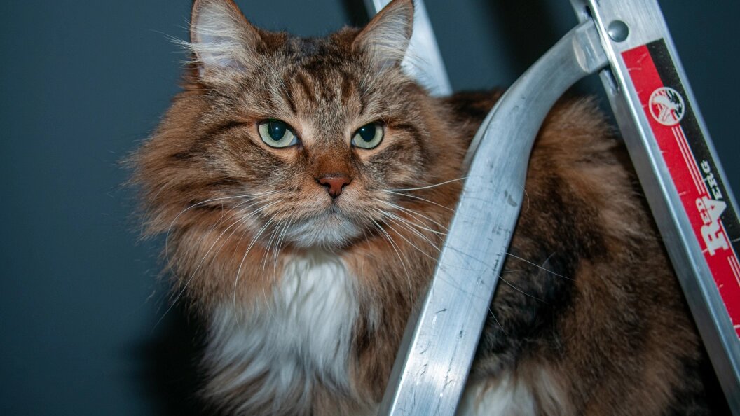    Svetlana Vozmilova/Global Look Press/