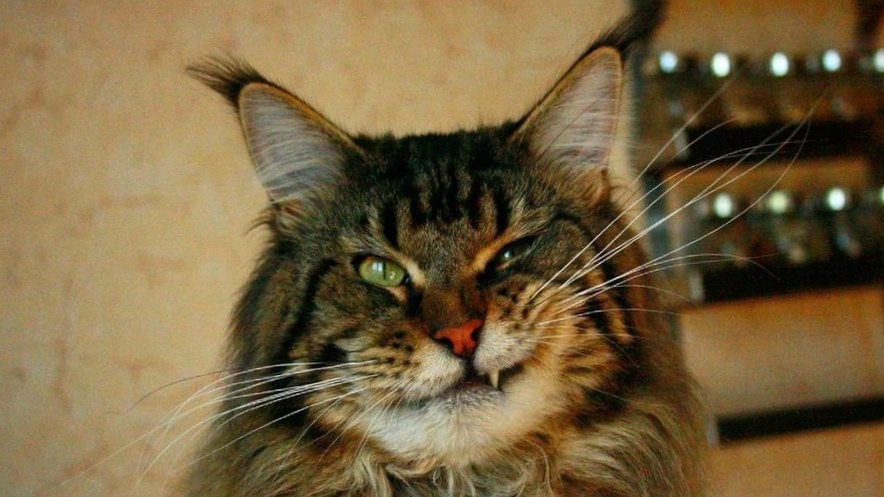 Фоткать будешь? Ну давай!