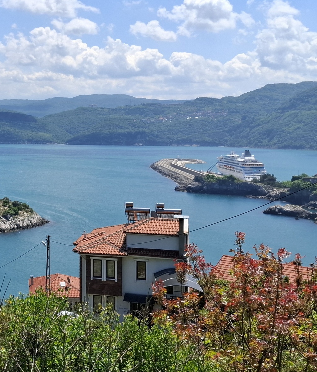 Отель, который сам возит вас по городам. Неплохо так, правда? А лайнер - вот он, красавец. Забирается туда, куда не ступала нога пакетного туриста. Проснулся - уже новый берег, вышел на палубу, а тут уже новый пейзаж. Вот бы и с работой так: уснул - проснулся, а все уже сделано😉.