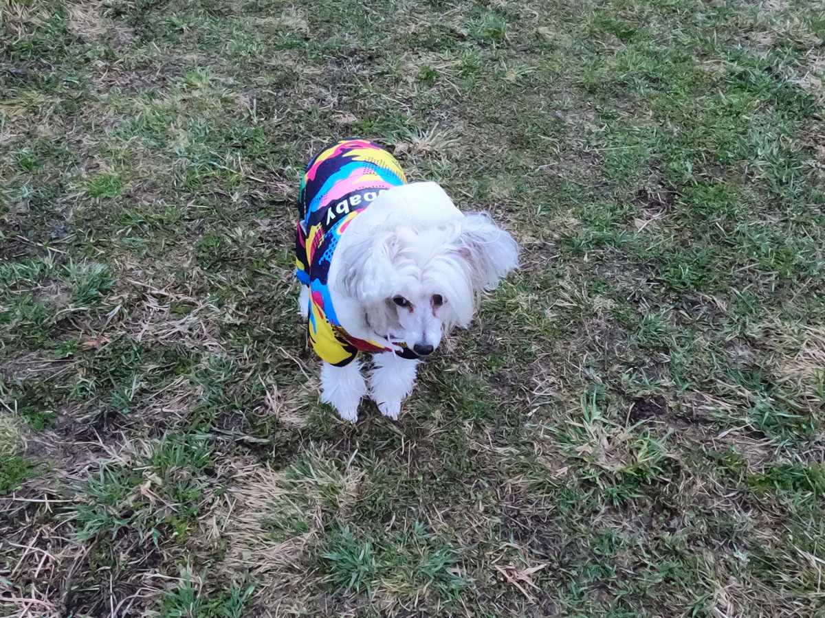 Вот и Саманта гуляет в зимнем комбинезоне