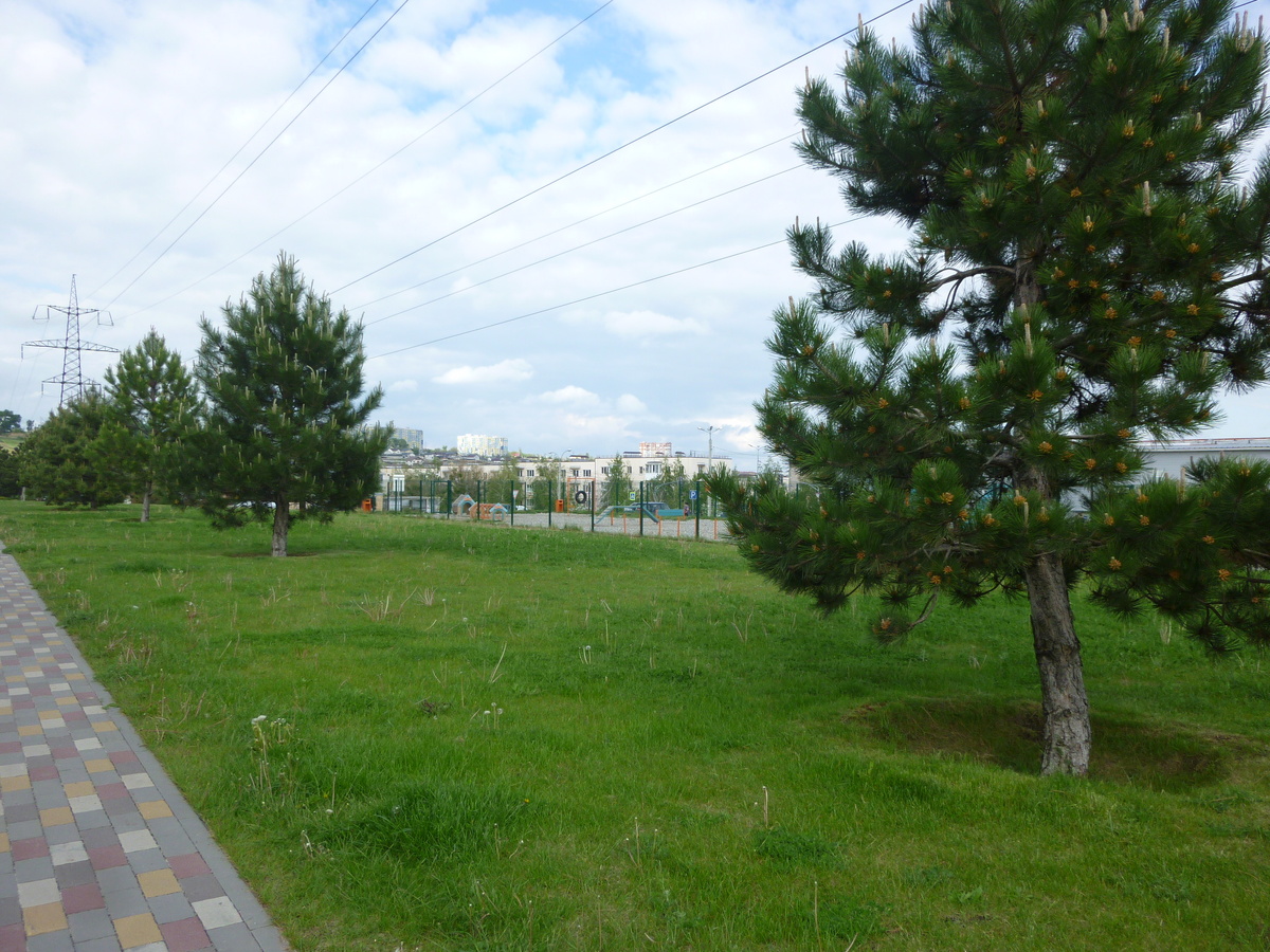 У нас зелено и красиво