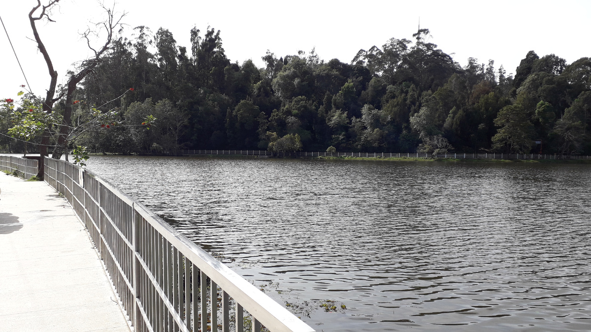 Кодайканал. Озеро. Октябрь 2021 г.