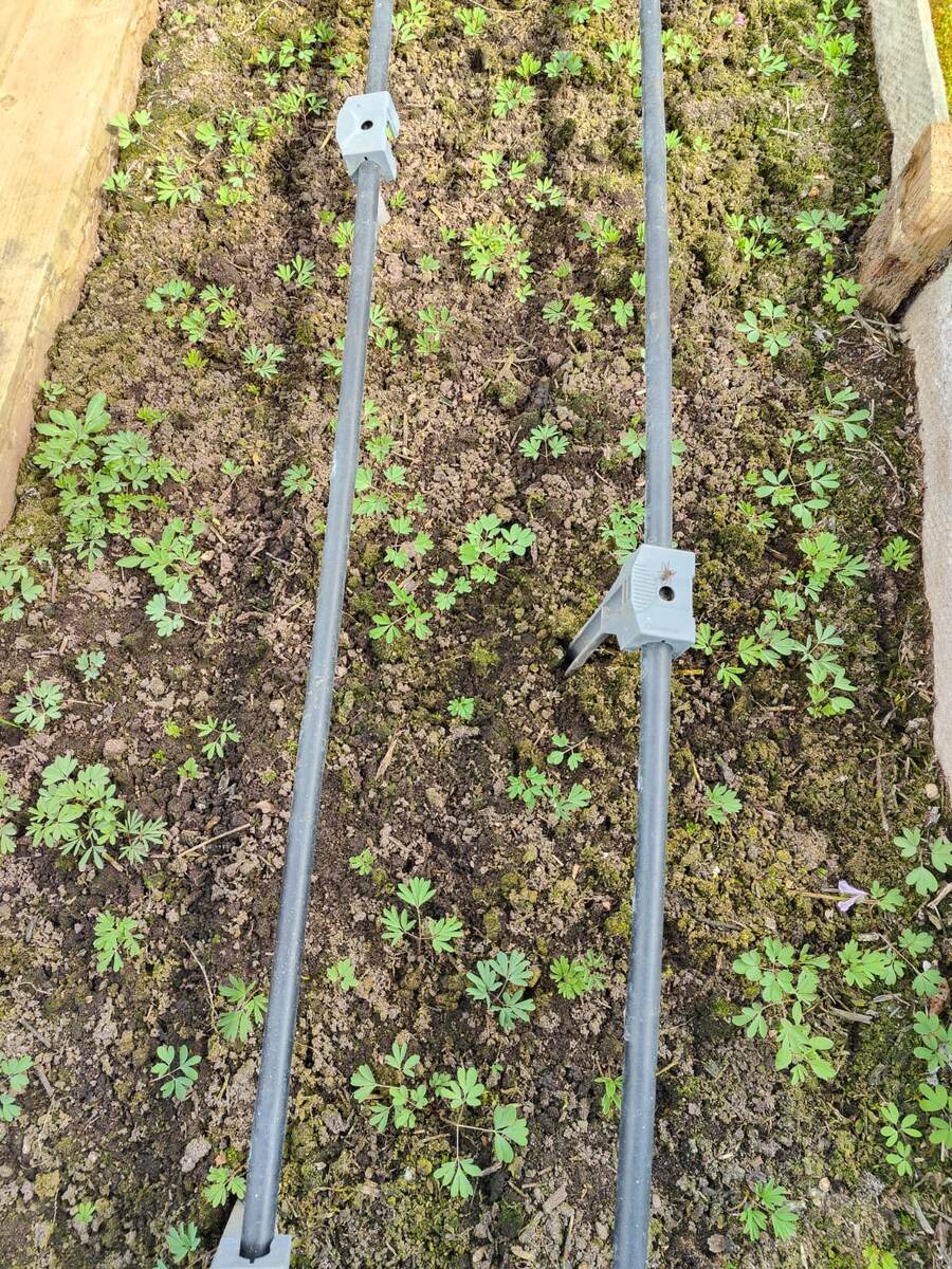 Начало апреля 2025.