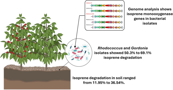pmc.ncbi.nlm.nih.gov