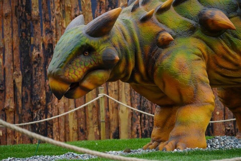    Фото: ЦПКиО Волгограда