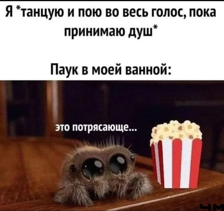 Жаль, что моей ванной не живут пауки... или я что-то не знаю? 