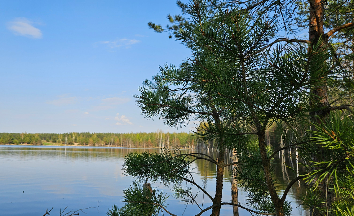 Великолепная девственная природа, дом в 50 м от берега озера, хвойный лес. Всё, что нужно для полной перезагрузки!