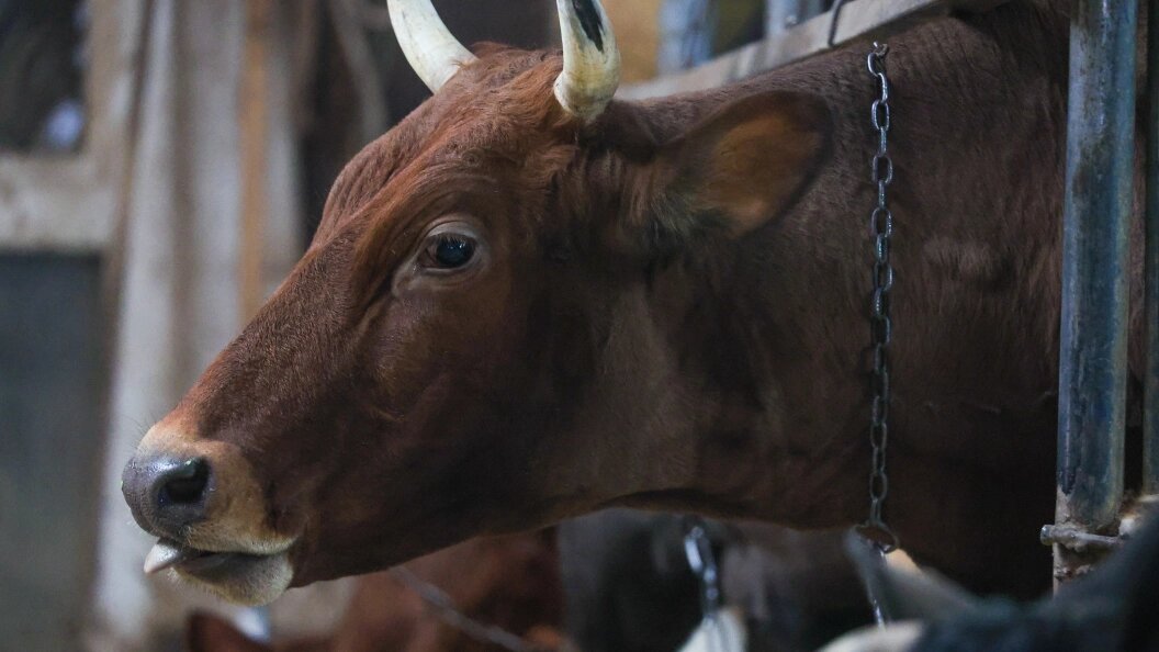    Фото: Shatokhina Natalia/news.ru/Global Look Press