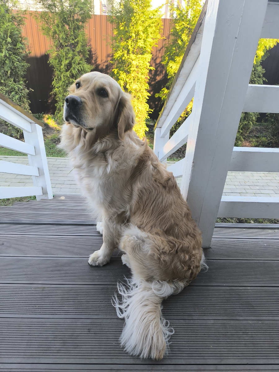 Наша Ларси.