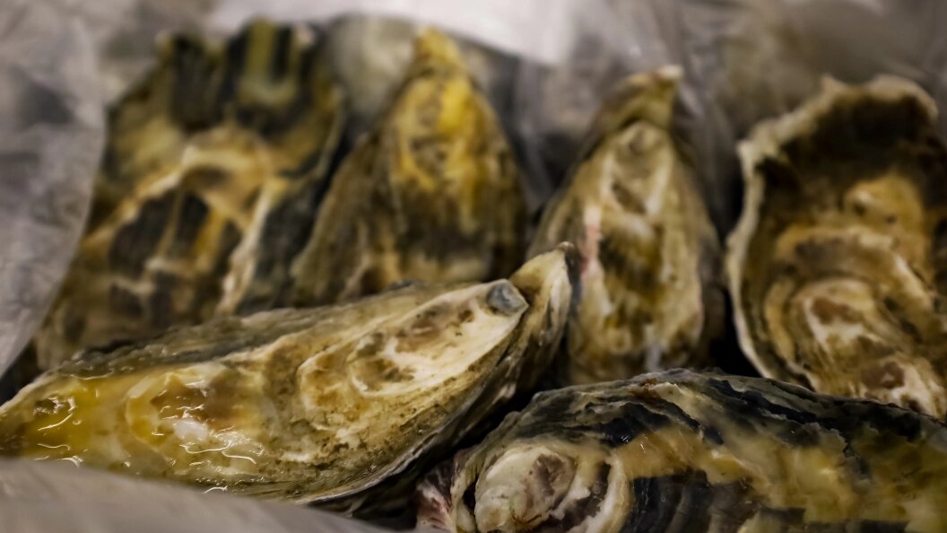    Фото: Elena Mayorova/Global Look Press