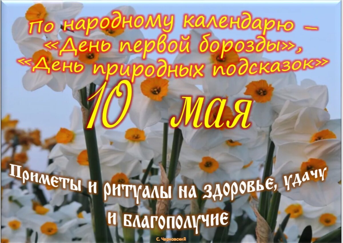 Встречаем новый день