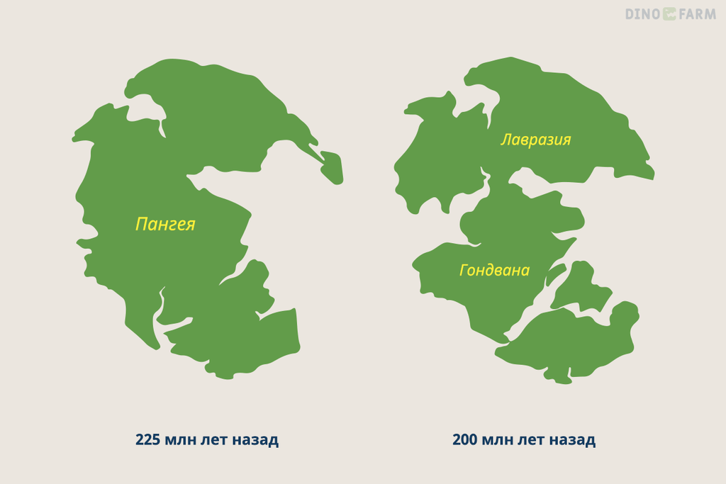 Пангея, Лавразия, Гонгвана