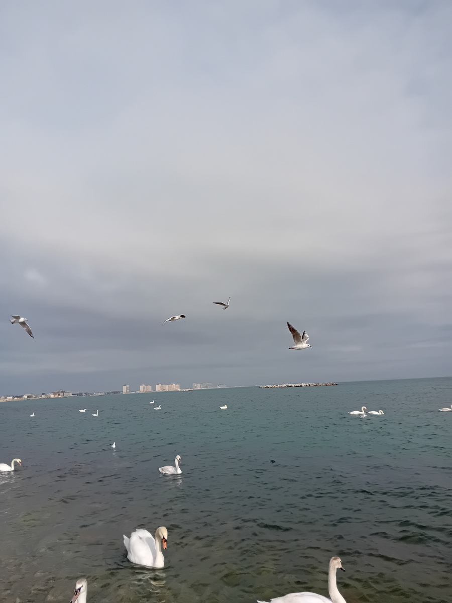 Авторское фото.