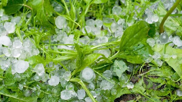    © РИА Новости . Дмитрий Паршин