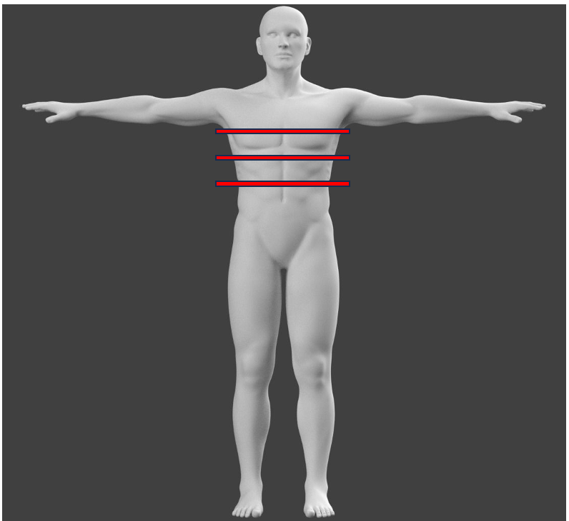 Аксиальная плоскость