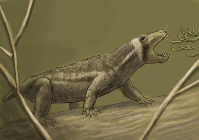 Протуберум от Джошуа Кнуппе.