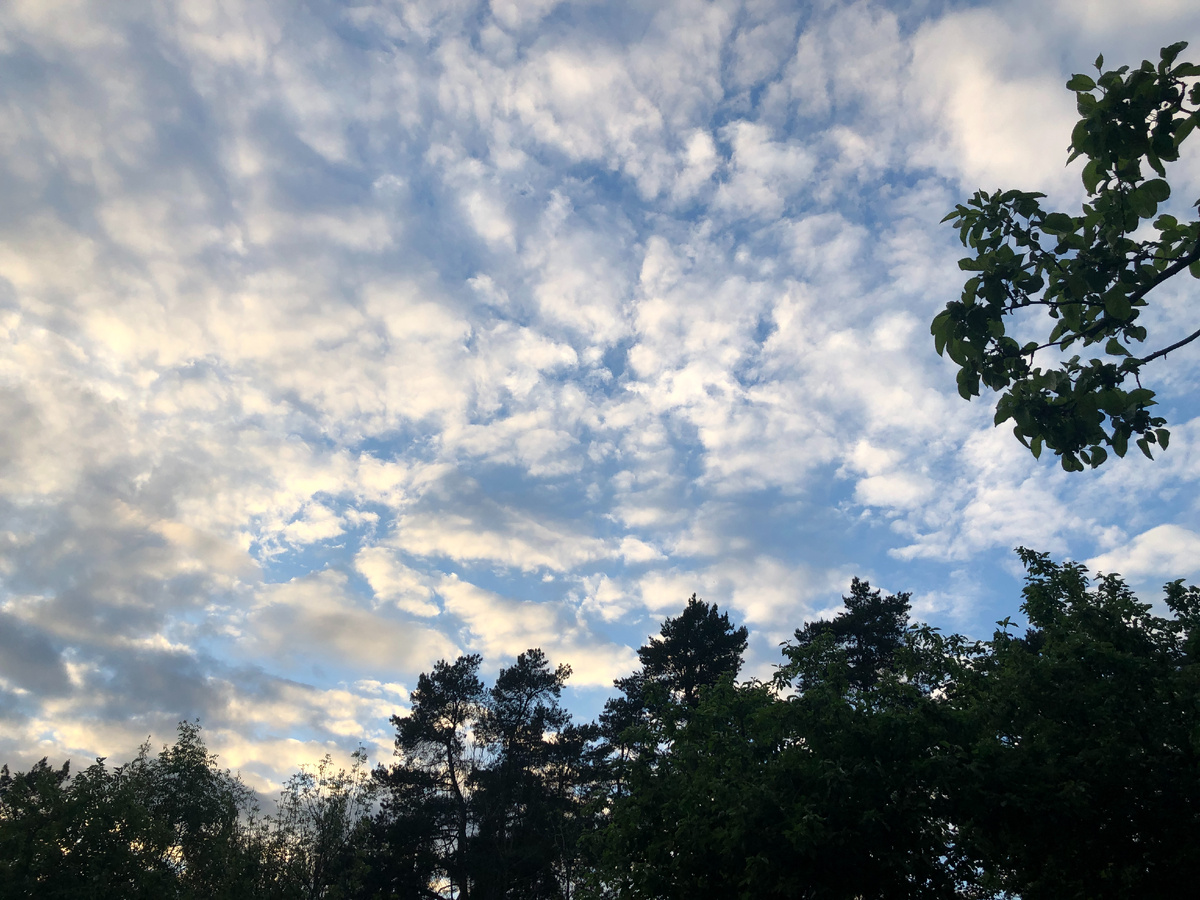 Вспомним всех актеров-детей, кого коснулась война. 