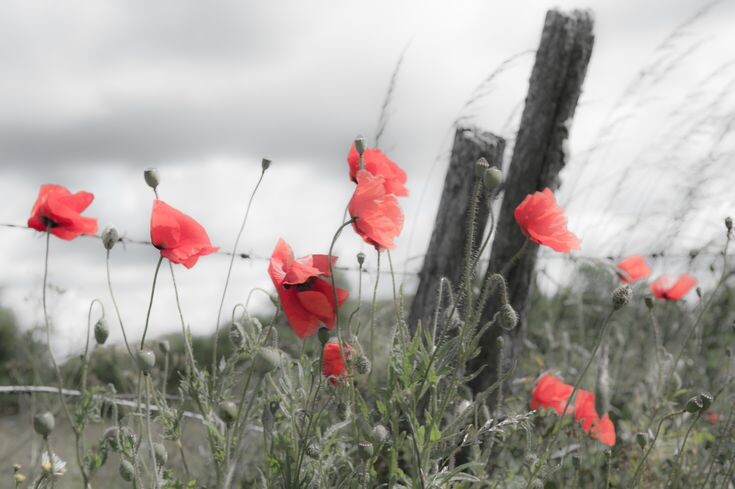 Изображение из открытых источников