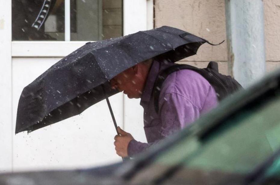    Наталья Шатохина/NEWS.ru