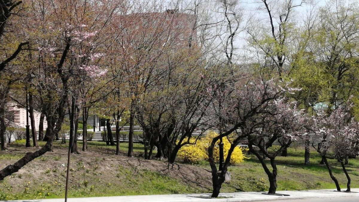     Источник: vostokmedia.com