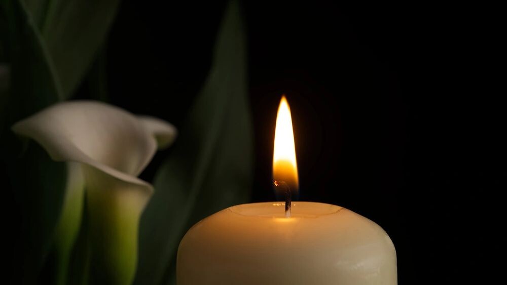    Фото: NetPix/Shutterstock/Fotodom