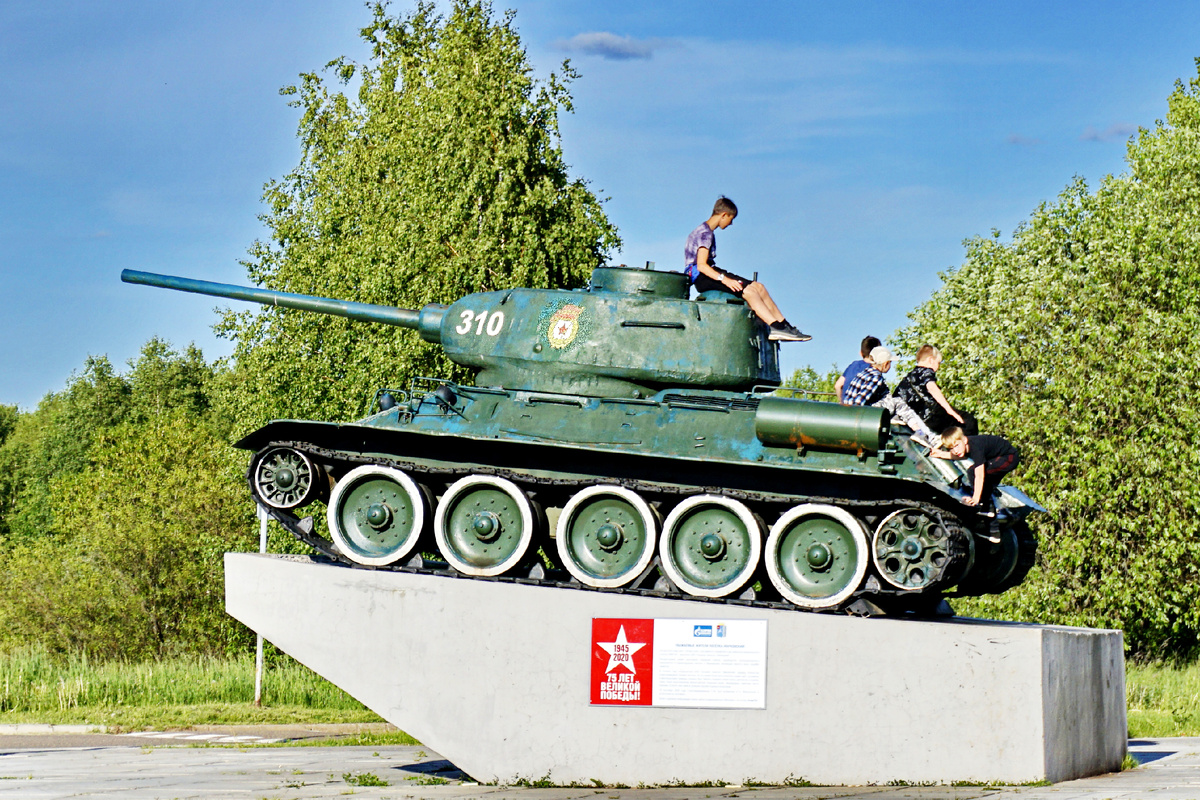 Пермский край, г. Чайковский, пгт Марковский