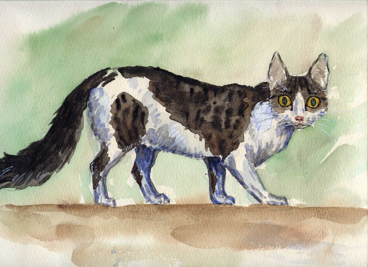 Это кошка Машка. Ей лет 40, может, больше. Она из эпохи, когда существовали лишь гэдээроовский торшон и краски ЗХК, а в подъездах были застекленные двери без замков.