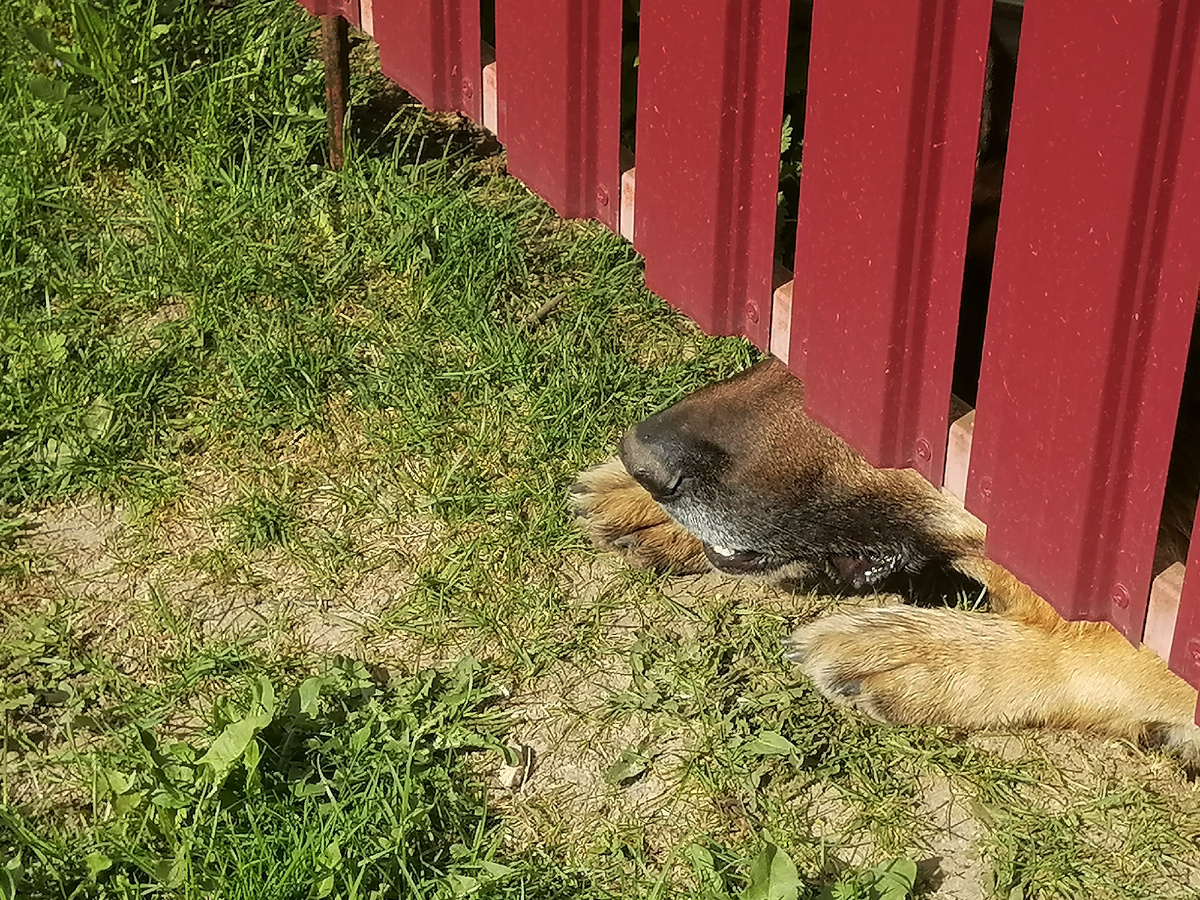 Фредик ждет нас