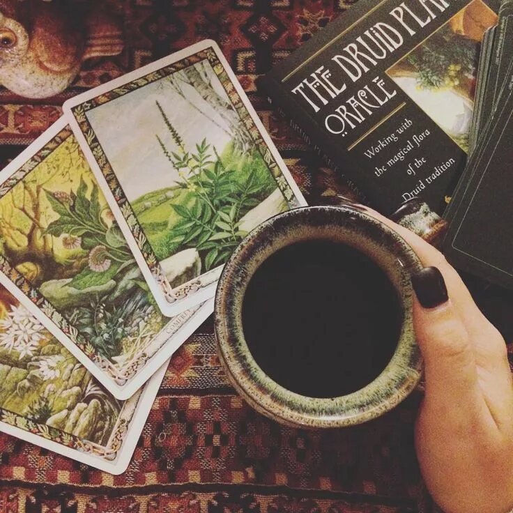 «Карты не кусаются. Но мифы — ещё как