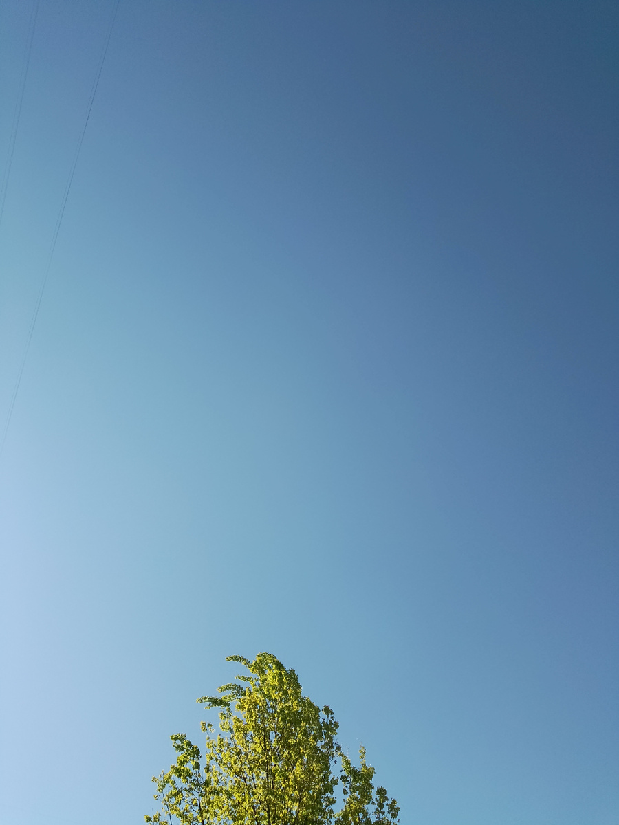 Фото автора. Если бы всё спокойно, как на фото