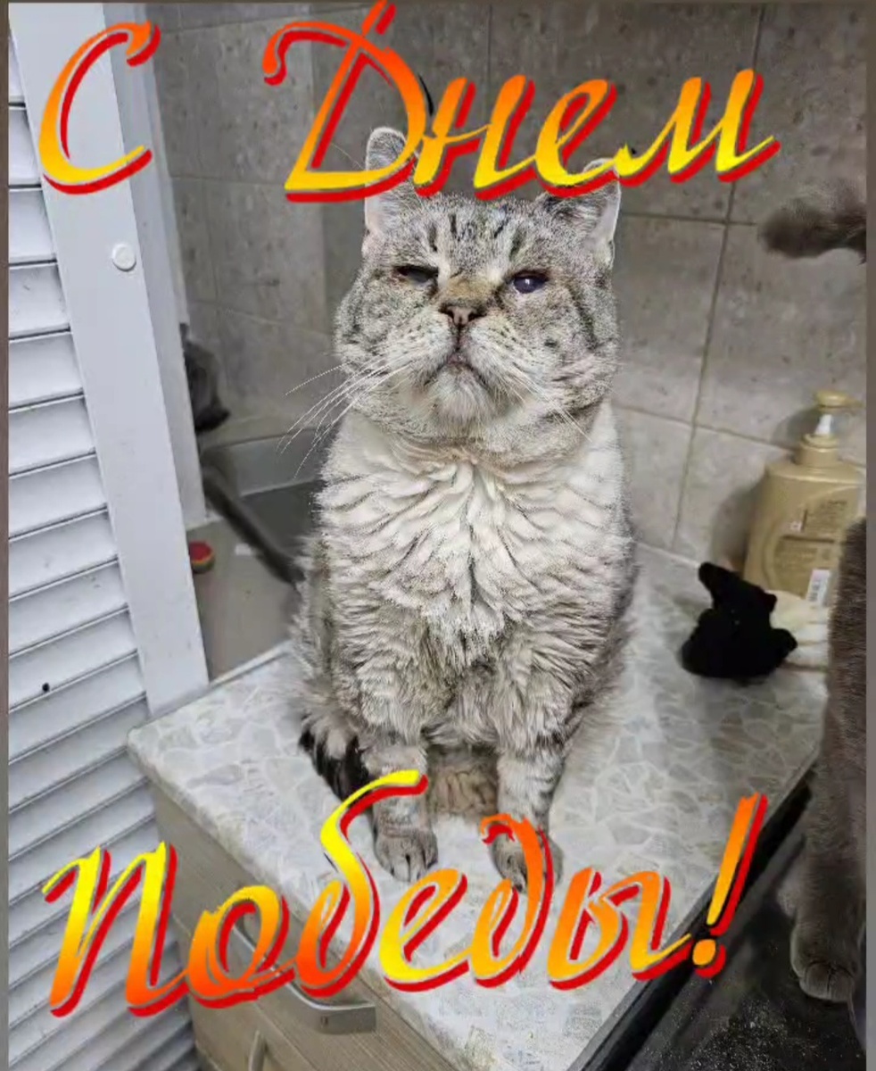 Фото автора. Со СВЯТЫМ ПРАЗДНИКОМ! ДНЕМ ПОБЕДЫ!