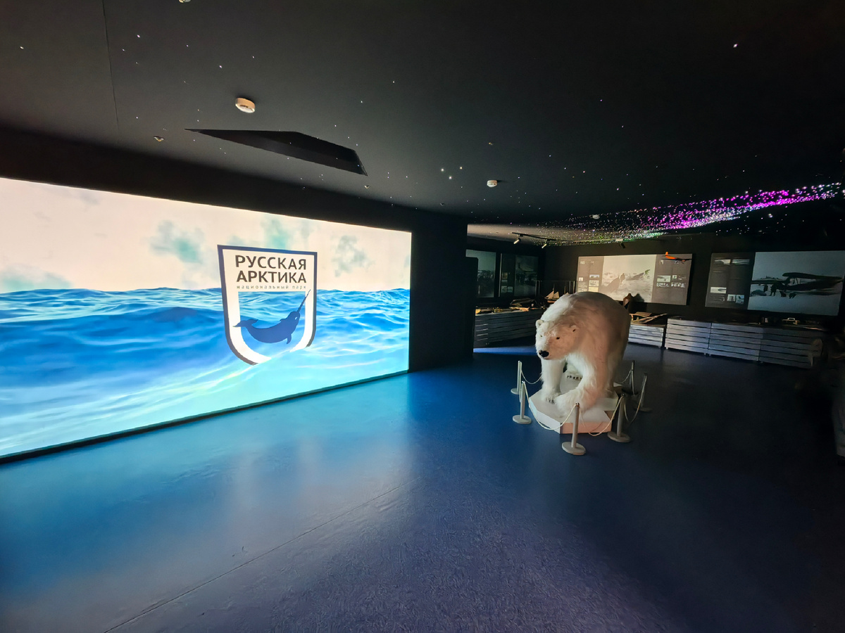 Белый медведь - символ русской арктической зоны