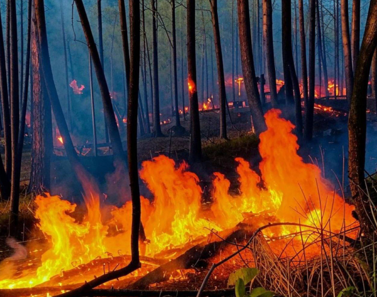     / Источник: ©МЧС Республики Буряти