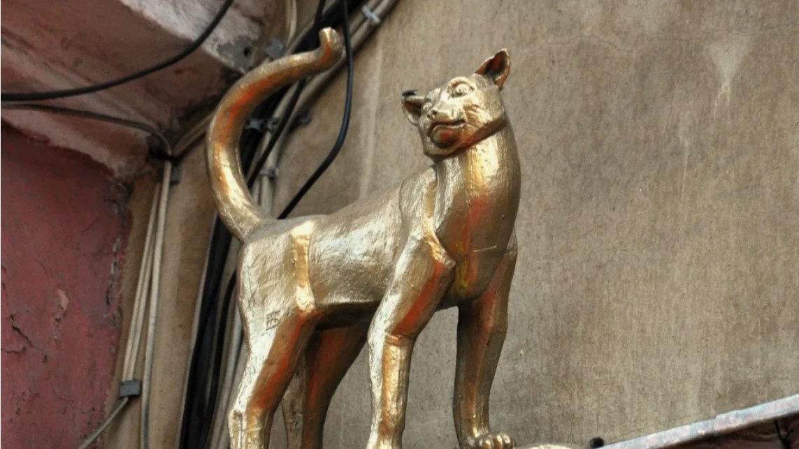 На верхнем фото : кот Елисей, на этом - кошка Василиса, Санкт-Петербург