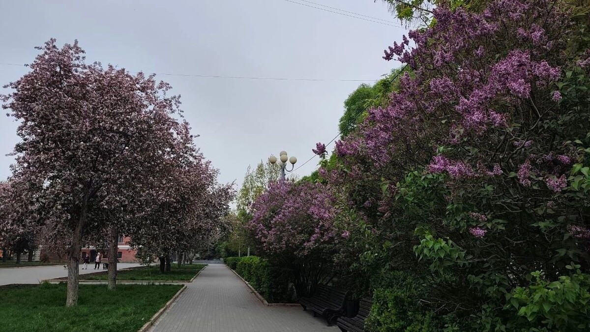     Источник: kursdela.biz