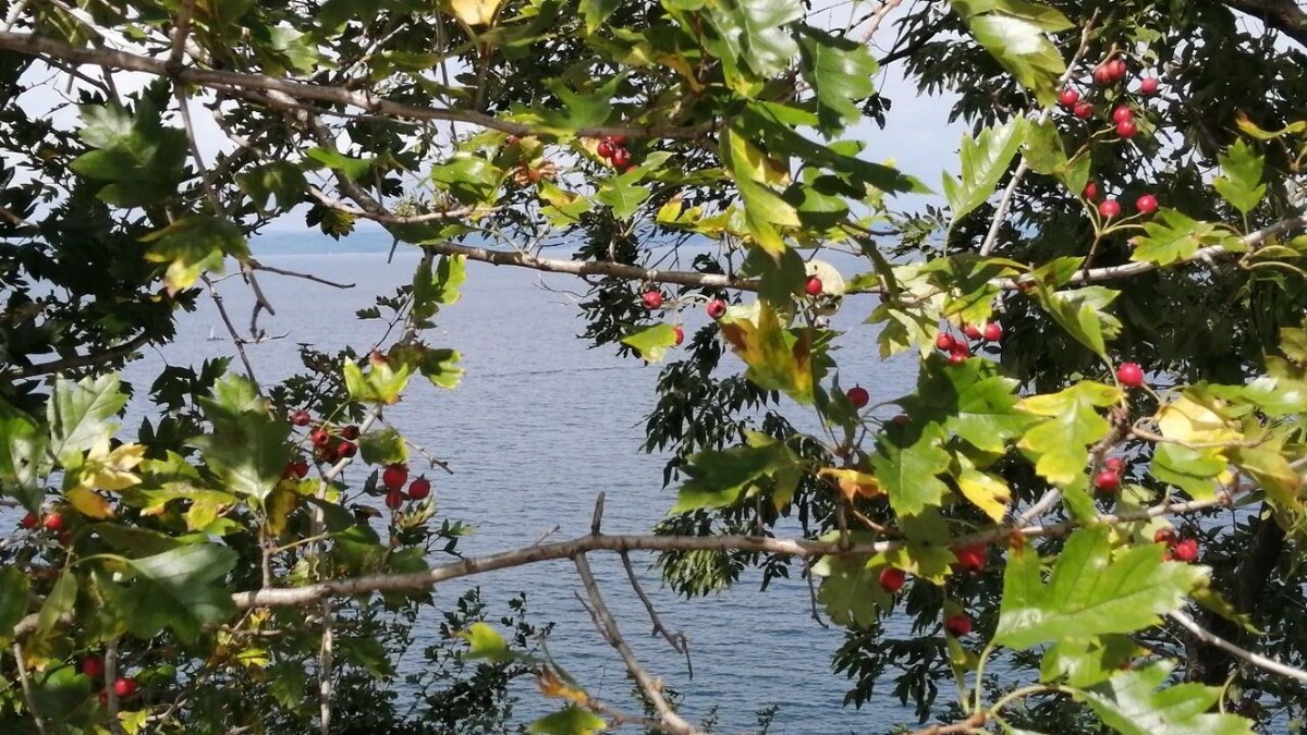     Источник: vostokmedia.com