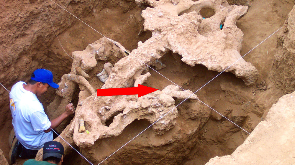    Тайна озера скелетов в Ростовской области ДНК мутантов и секреты НКВД