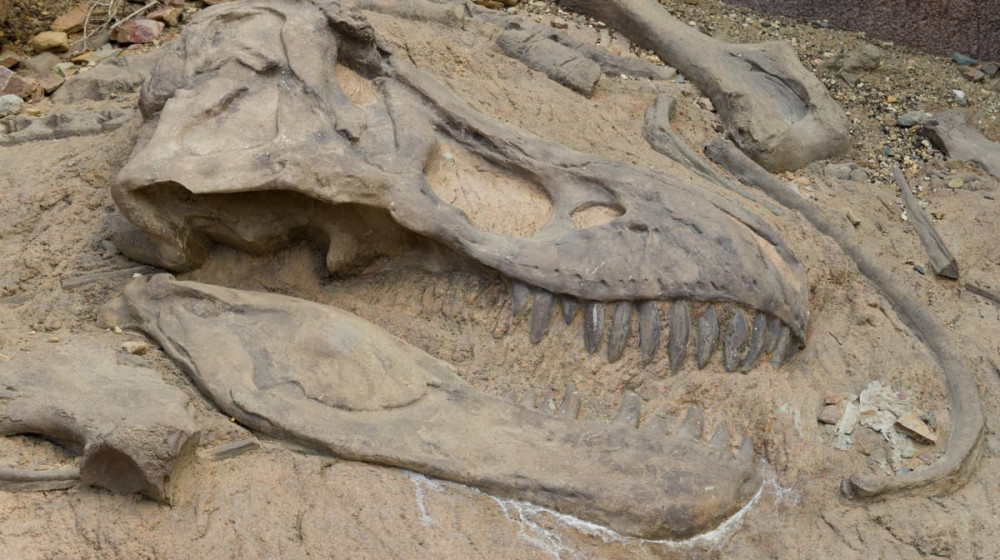    Тайна озера скелетов в Ростовской области ДНК мутантов и секреты НКВД