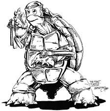 Первая черпашка-ниндзя 