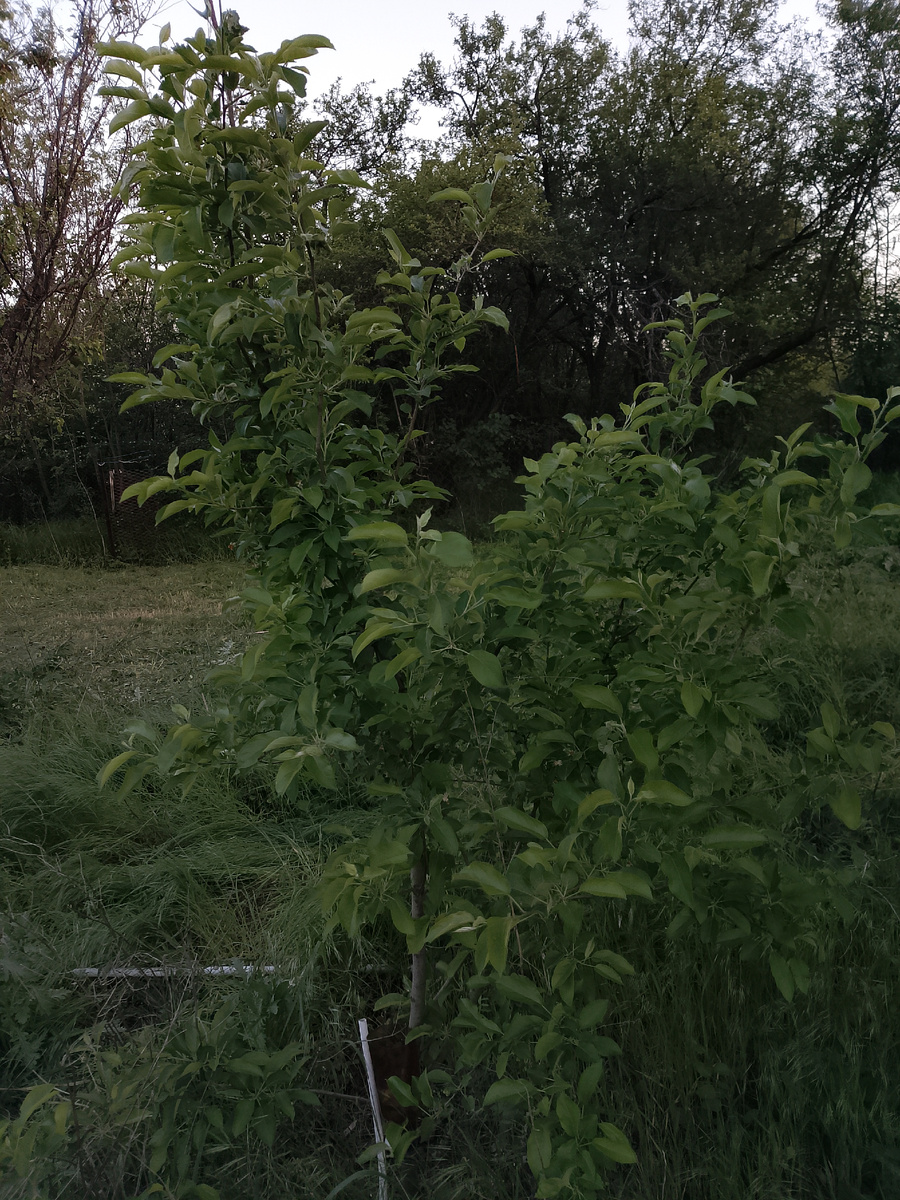 Возле того места, куда я прибыл в первый день