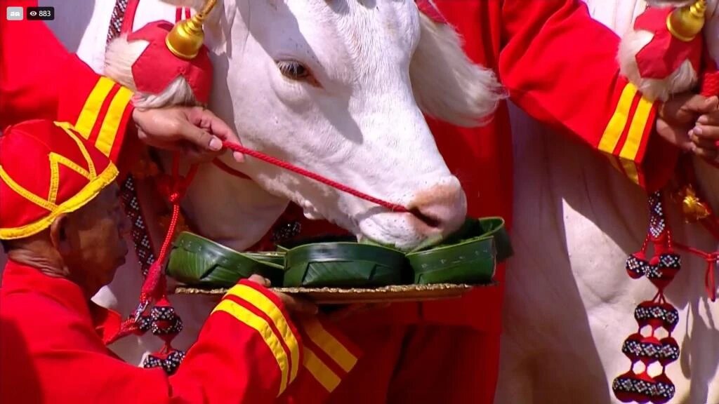 Фотографии с сайта bangkokbiznews.com