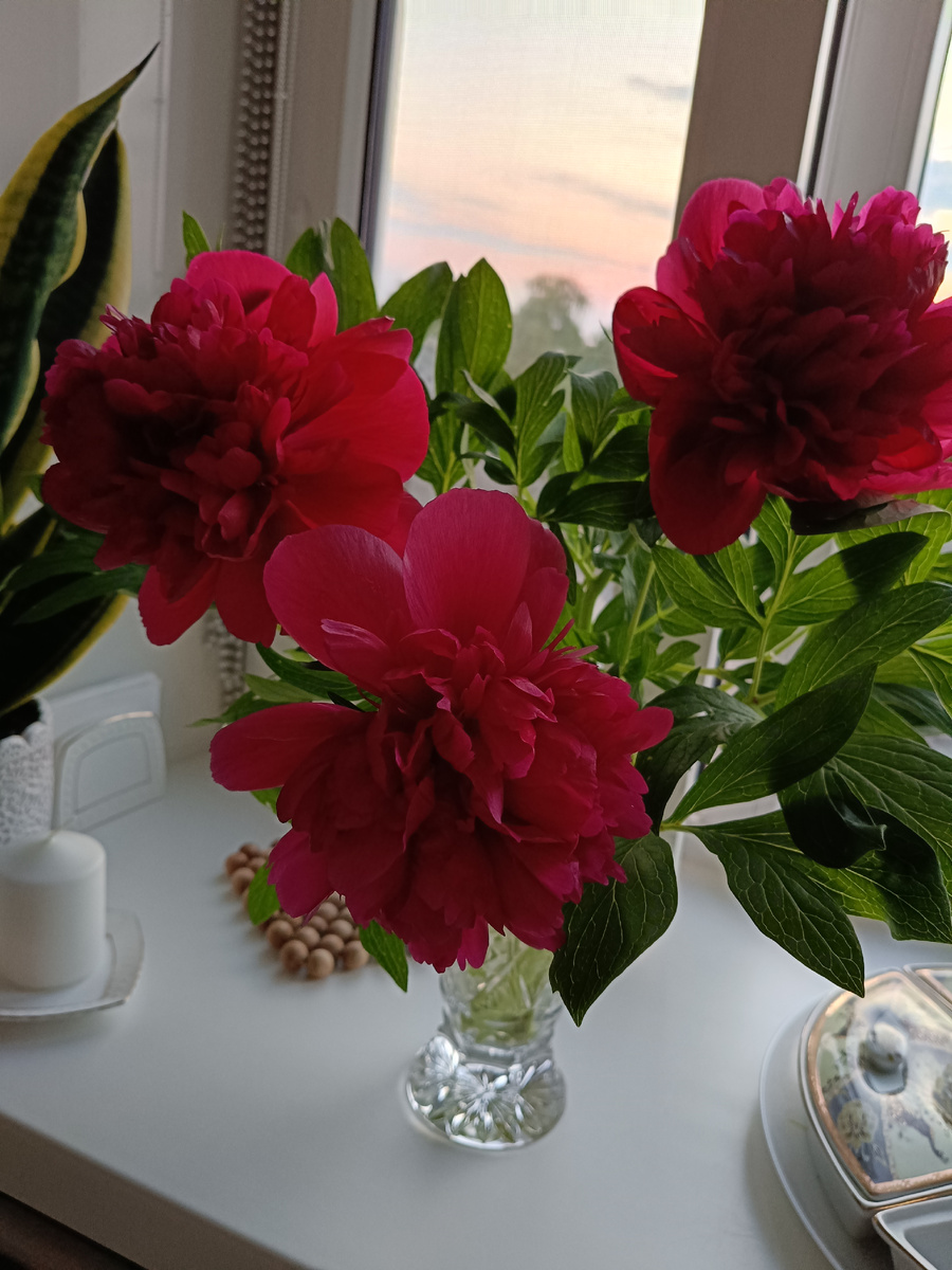 Цветут и пахнут🙂