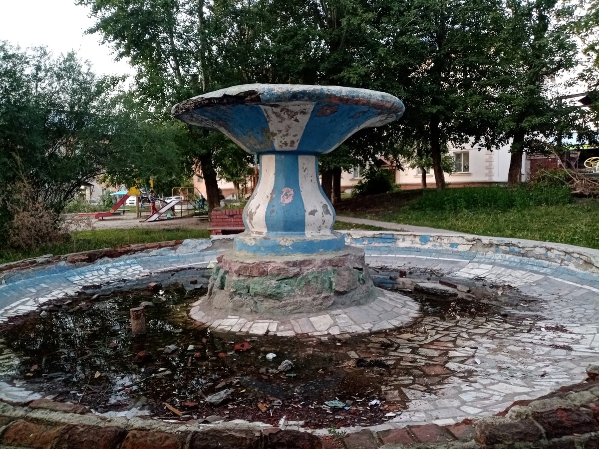 Фото: МК Новосибирск