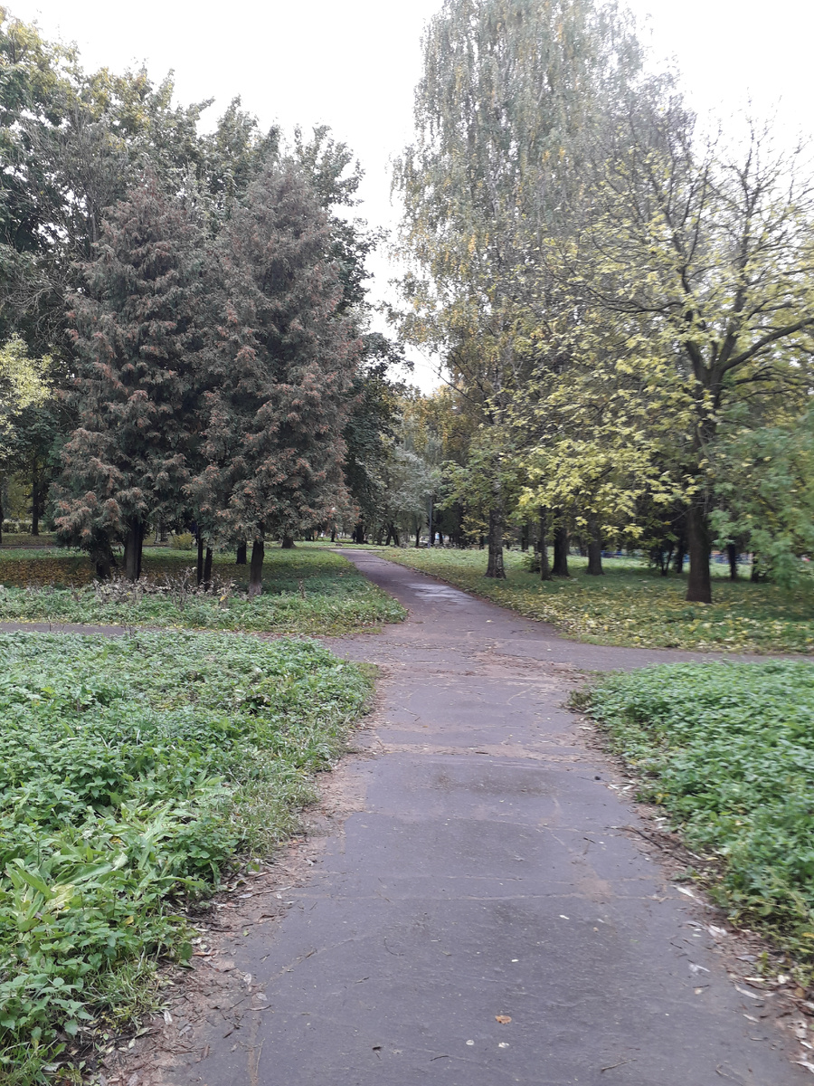 Вид парка со стороны реки Лазурь (листайте по стрелке – всего 2 фотографии)