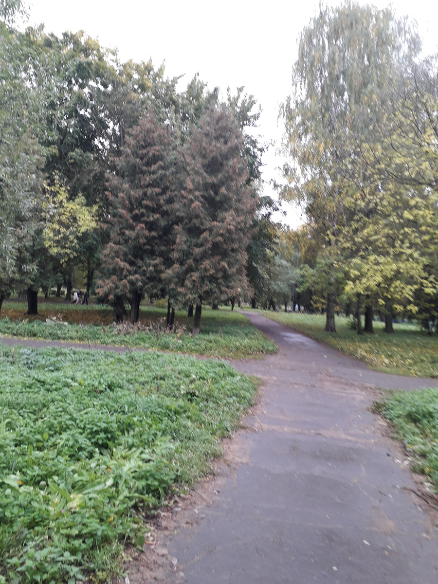 Прогулочные дорожки (листайте по стрелке – всего 7 фотографий)