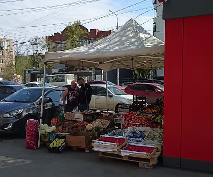    Фото: скрин видео/предоставлено Царьграду.