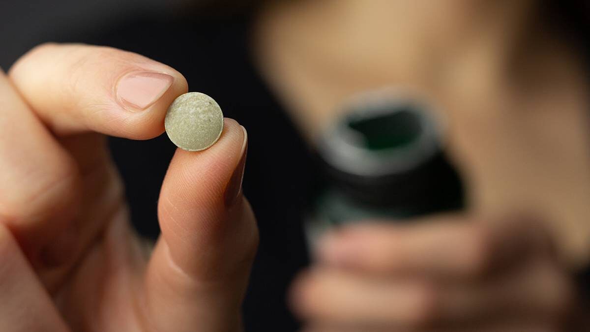    Фото: Shutterstock