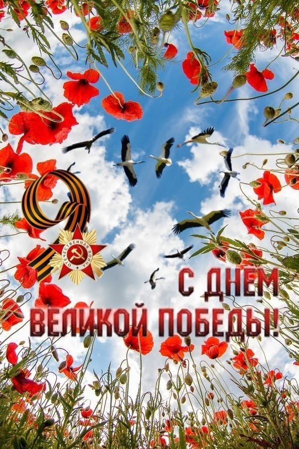 Фото из открытого источника в интернете.