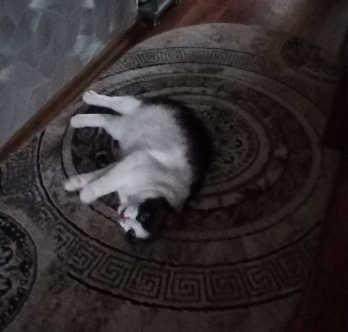 Фото автора. 