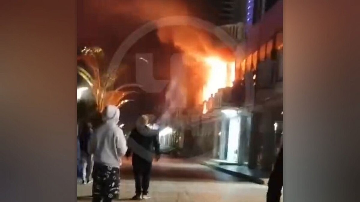    Фото: t.me/chp_sochi